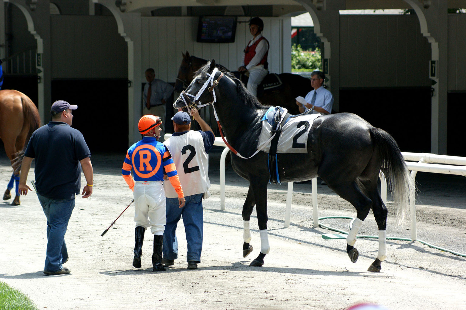 Paddock HorseRacing Images